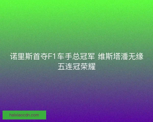 诺里斯首夺F1车手总冠军 维斯塔潘无缘五连冠荣耀